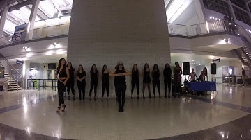 NSU LTA Gamma Delta Spring 16 Line 14 New Member Presentation