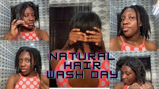 EASIEST NATURAL HAIR WASH DAY ROUTINE FOR BEGINNERS I SIMPLE |NO LONG HOURS