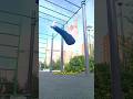 ЙОГА после турника - это закон. #workout #streetfitness #йога #уличныетренировки