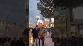 3D kitty got Shinjuku lit, eyes glued like sushi 🍣👀 #CatTokVibes #ShinjukuJapan.