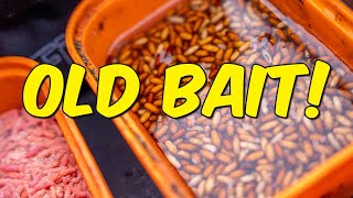 Hate Throwing Away Bait? | This Money Saving Tip Will Help!