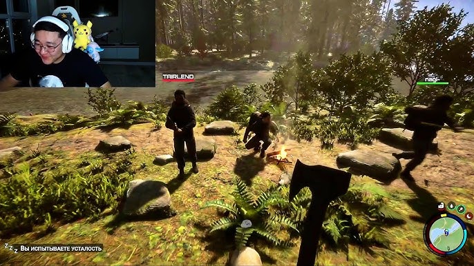 Төрттік видео