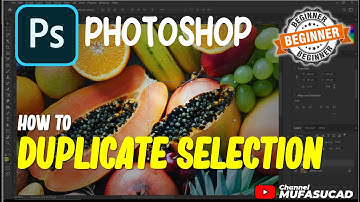 Photoshop How To Duplicate Selection