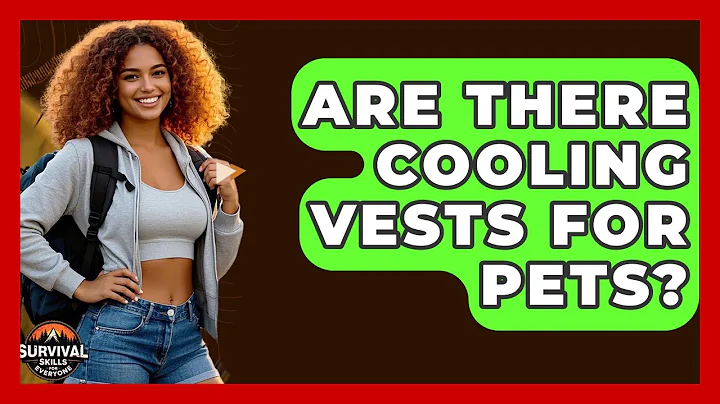 Are There Cooling Vests For Pets? - Survival Skills for Everyone