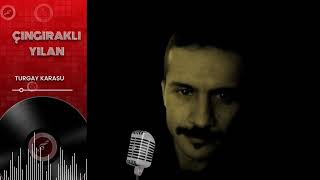 Çıngıraklı Yılan - 2014 Turgay Karasu