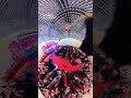 Ném chiến thắng ở một góc nhìn khác Cre: Vũ Minh Tuấn