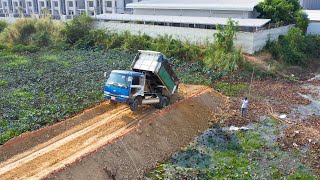 Start To Connect For New Project With Dump Truck 5Ton And Bulldozer Operator Skills Spreading Dirt