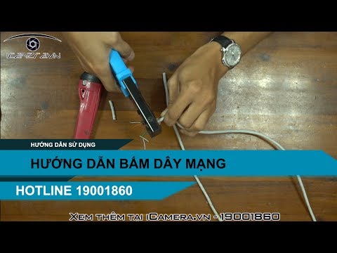 Video Hướng dẫn cách bấm dây mạng nhanh, chuẩn - youtube