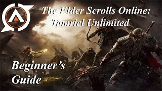 The Elder Scrolls Online: Tamriel Unlimited - Beginner's Guide screenshot 3