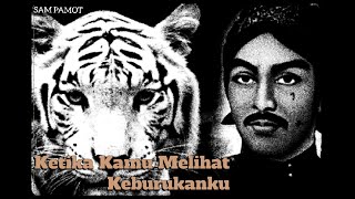 story wa harimau putih