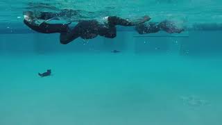 Basic Open Water Scuba Diver Training- Pool Sessions