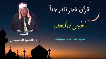 القارئ الكبير الشيخ عبدالحميد الباسوسي الذي زامل العمالقة يتألق في تلاوة نادرة لأول مرة الحجر والنحل