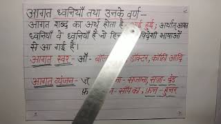 class 7 hindi grammar ch 2 lecture 2 h w solutions lecture 1 youtube
