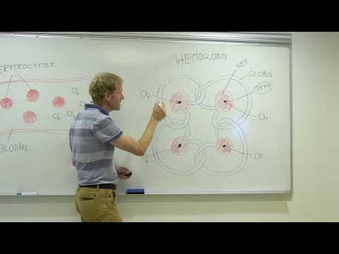 Video: Stjeler Romvesener Oksygen Fra Oss? - Alternativt Syn