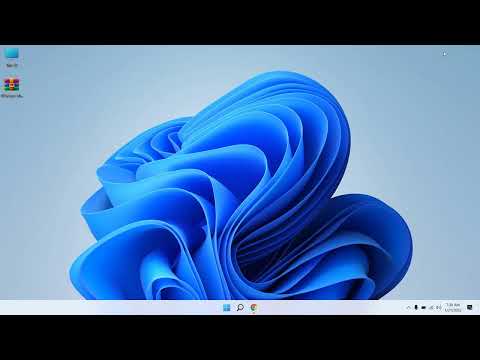 Windows 11 File