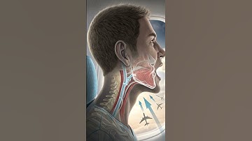 Why Your Ears Really Pop on Planes (Science Explained) #scienceshorts #didyouknow
