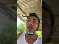 Resumen del proceso de incubación con fercho eldelagranja #incubación #granja