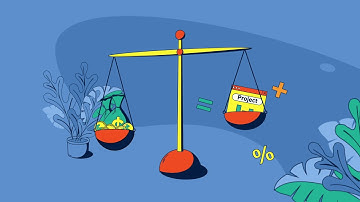 Projects Budget Planner & Projects Expense Tracker Video Review