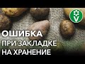 НИКОГДА ТАК НЕ ДЕЛАЙТЕ ПОСЛЕ УБОРКИ КАРТОФЕЛЯ! Ошибки из-за которых картошка быстро портится