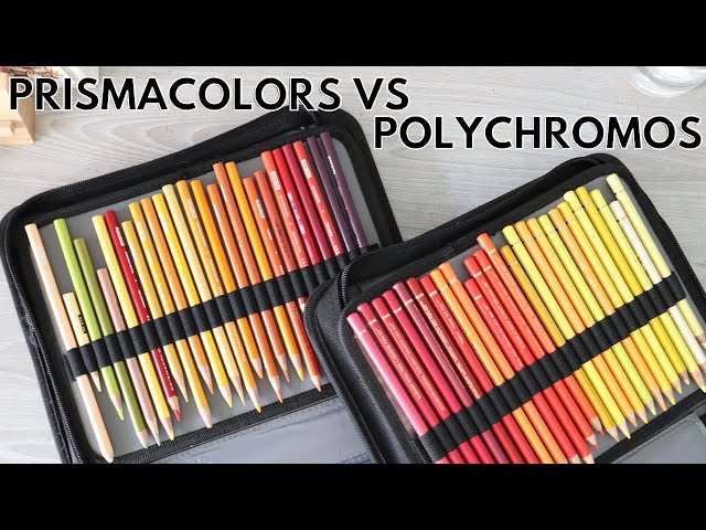 Prismacolor Vs Faber Castell Polychromos colored pencils w/ Lachri 