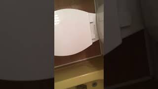 Glacier Bay Power Flush