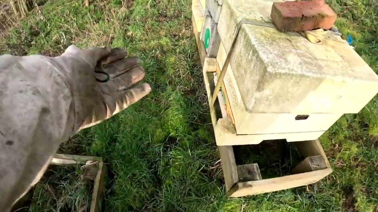 Hefting Hives, Building a Langstroth long hive 