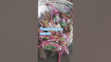 Thumbnail of tumis bayam merah menu sehat menu sederhana