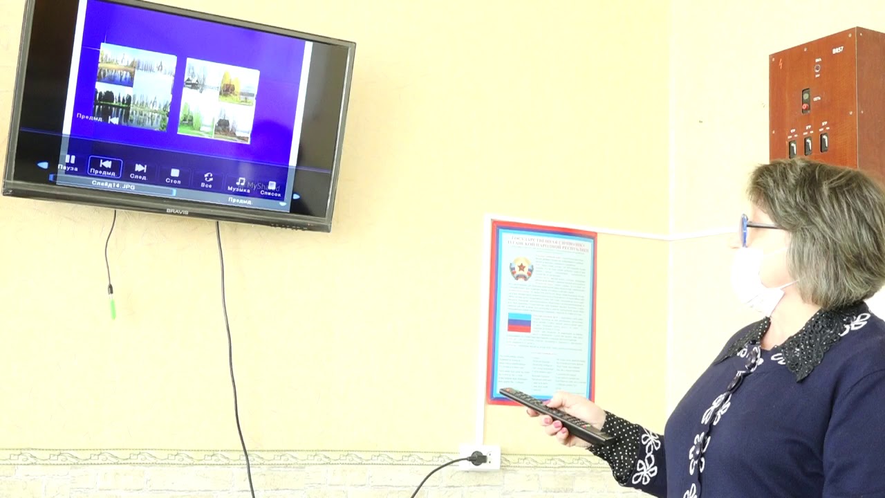 Биология. 11 класс (профиль) - YouTube