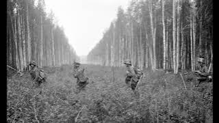 SÄKKIJÄRVEN POLKKA (INSTRUMENTAL)