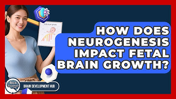 How Does Neurogenesis Impact Fetal Brain Growth? - Brain Development Hub