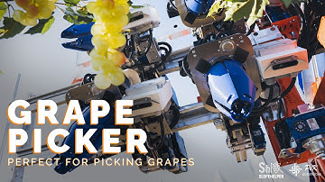 Grape Picker: Revolutionizing Vineyard Harvesting with AI-Powered Precision!