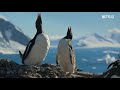 Our   Planet      Frozen   Worlds      FULL   EPISODE    Netflix