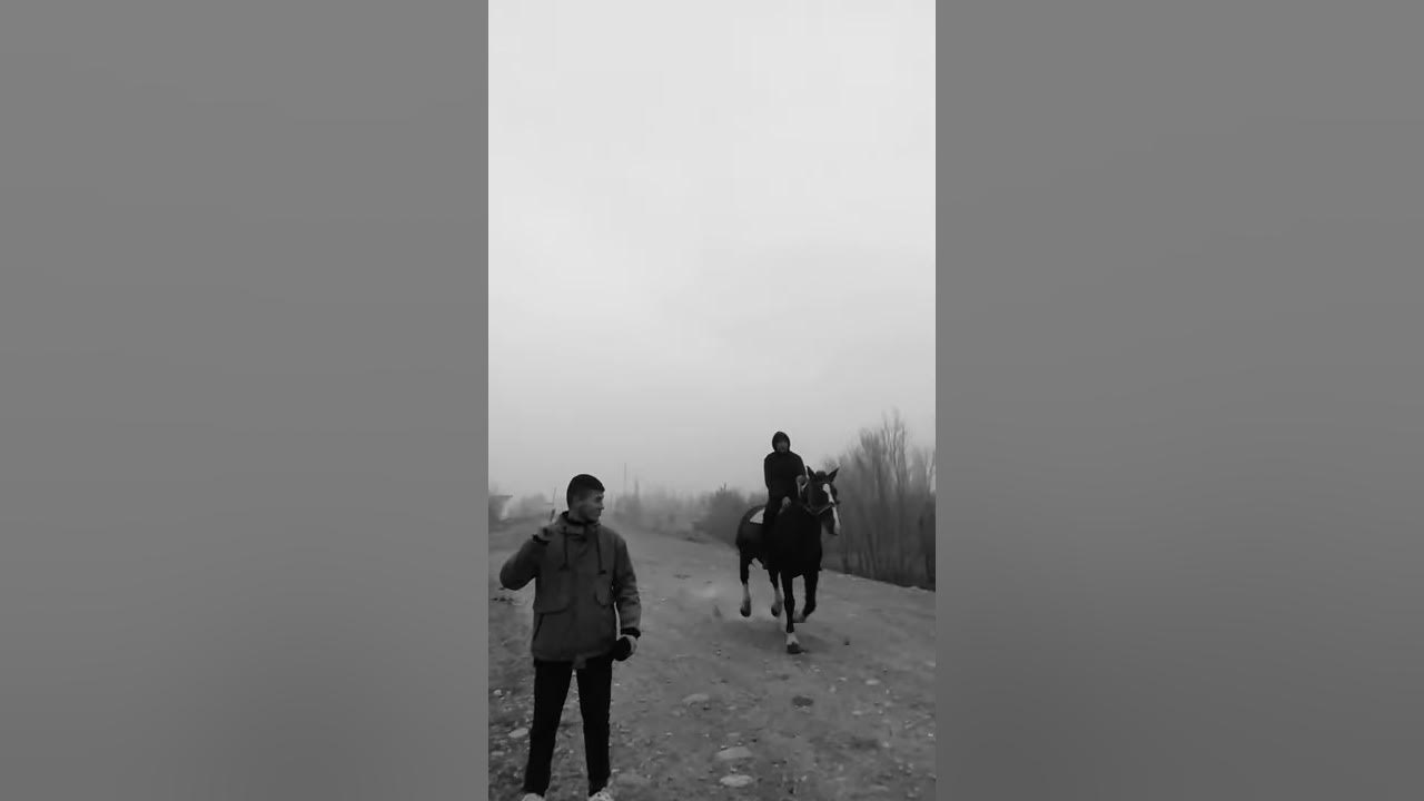ат адамдын канаты 🐎🤩 - YouTube