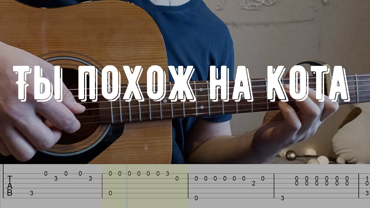 легкие песенки на укулеле. котик аккорды. ты похож на кота аккорды гитара. ты похож на кота аккорды. группа крови аккорды для гитары.