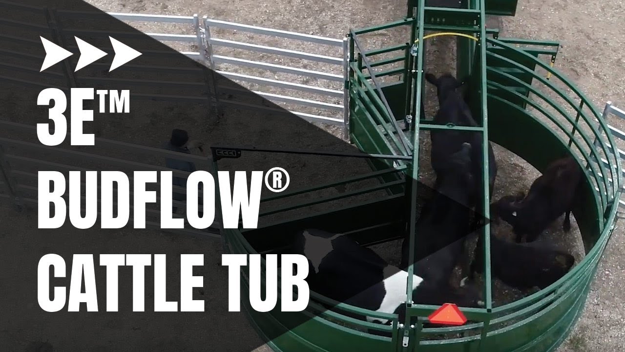 Cattle Tubs Budflow Cattle Crowding Tubs For Cattle