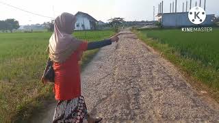 Gitar tunggal ogan serumpun.judul.oi kakang.tula ku.harap kan voucal susma simarni