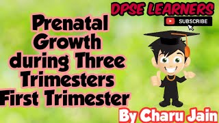 What Is Prenatal Growth During Three Trimesters ? | First Trimester | Embryonic Stage | UCC