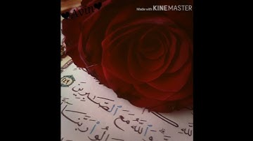 سورة المسد / الشيخ مشاري بن راشد العفاسي