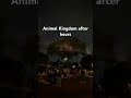 Animal Kingdom is so special at night #disney #animalkingdom