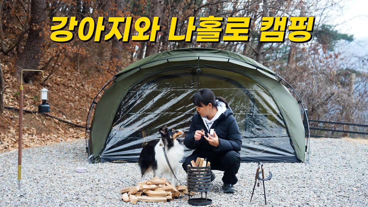 강아지와 나홀로 겨울 캠핑 | 쉘터G | 파워뱅크로 팬히터 24시간 가능할까? | 블루문캠핑장 | 캠핑장비