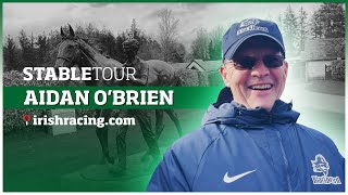 Aidan O'Brien Ballydoyle  Coolmore Stable Tour | March 2023