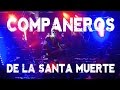 Capture de la vidéo Punish Yourself - Compañeros De La Santa Muerte
