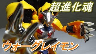 【デジモンアドベンチャー】超進化魂 01 ウォーグレイモンをレビューします！DIGIMON ADVENTURE　DIGIVOLVING SPIRITS 01 WARGREYMON