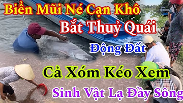 Người đàn Ông bắt được Thuỷ Quái Khổng Lồ Thuỷ Triều Bất Ngờ Dân Ngập Đường Lộ Nhà Cửa Động Đất Nhật