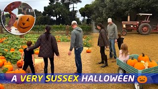 видео: День сбора сладких тыкв принца Арчи и принцессы Лилибет 🎃💛 картинка: День сбора сладких тыкв принца Арчи и принцессы Лилибет 🎃💛