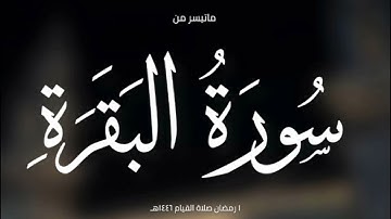 صلاة القيام يوم 1 رمضان 1446 هجري| القارئين عبد الرحمن فضل ، طلال حسين