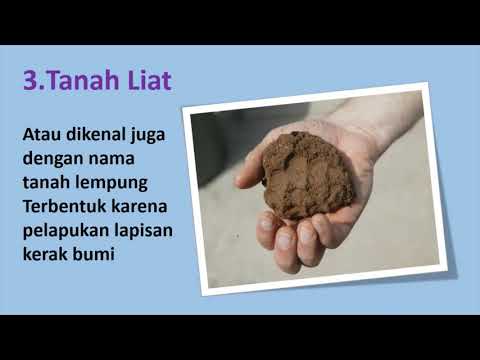 Mengenal 3 jenis tanah (Humus, Liat dan Pasir)