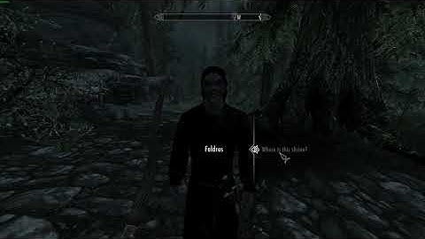 Skyrim (2011 version) on Lubuntu 18.04 with Steam Play/Proton - R5 1600/8GB RX480 @ 1440p High