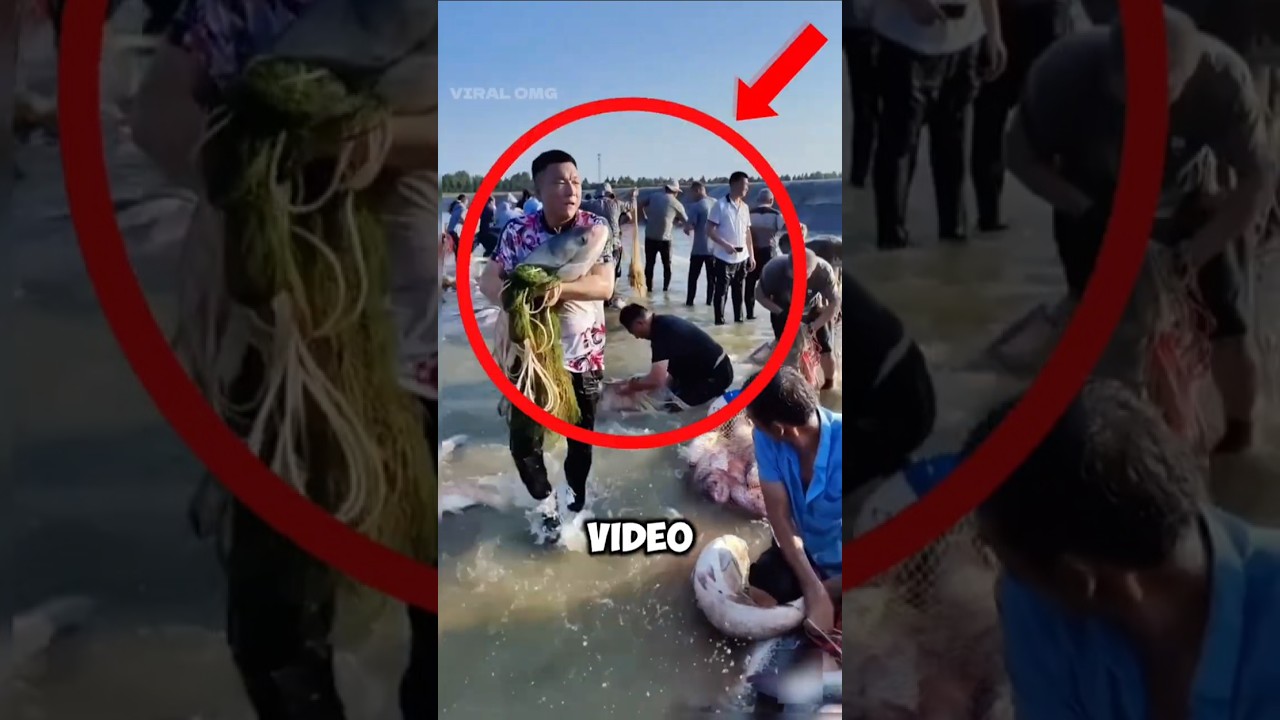 Fishing Teamwork Gone Viral 🔥