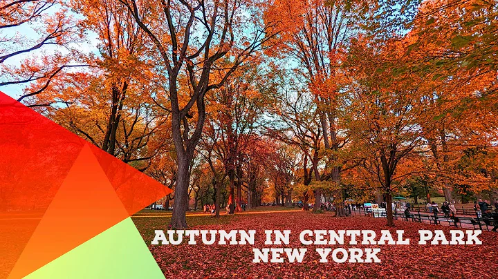 Autumn in Central Park 🍁Walking Tour | Fall Foliage in New York  | Autumn in New York